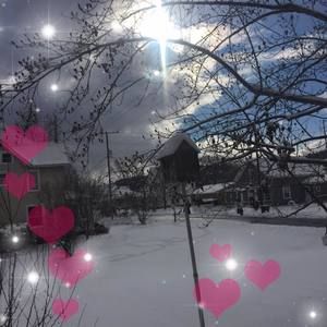 Meet your Posher, Shirley